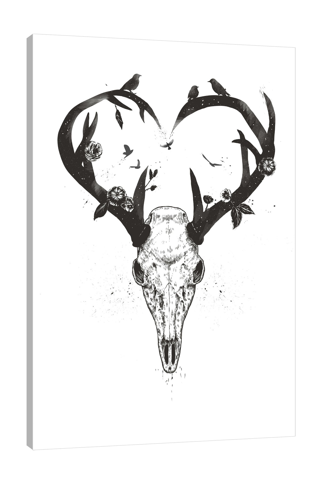 Balazs-Solti,Modern & Contemporary,Animals,Floral & Botanical,animals,animal,skull,skulls,horns,horn,florals,floral,flowers,flower,birds,bird,heart,hearts,black and white,Mist Gray,Tan Orange,Yellow,Tan White