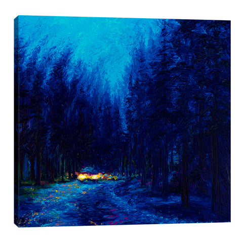 Iris-Scott,Modern & Contemporary,Landscape & Nature,lights,trees,forests,cars,automotive,