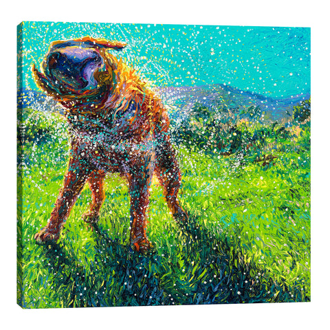 Iris-Scott,Modern & Contemporary,Animals,animals,animal,dogs,dog,wagging,shaking,water drops,grasses,mountains,