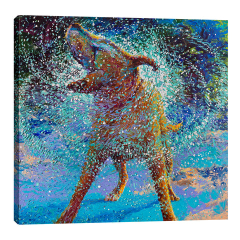 Iris-Scott,Modern & Contemporary,Animals,animals,animal,dogs,dog,wagging,shaking,water drops,teal,splatter,