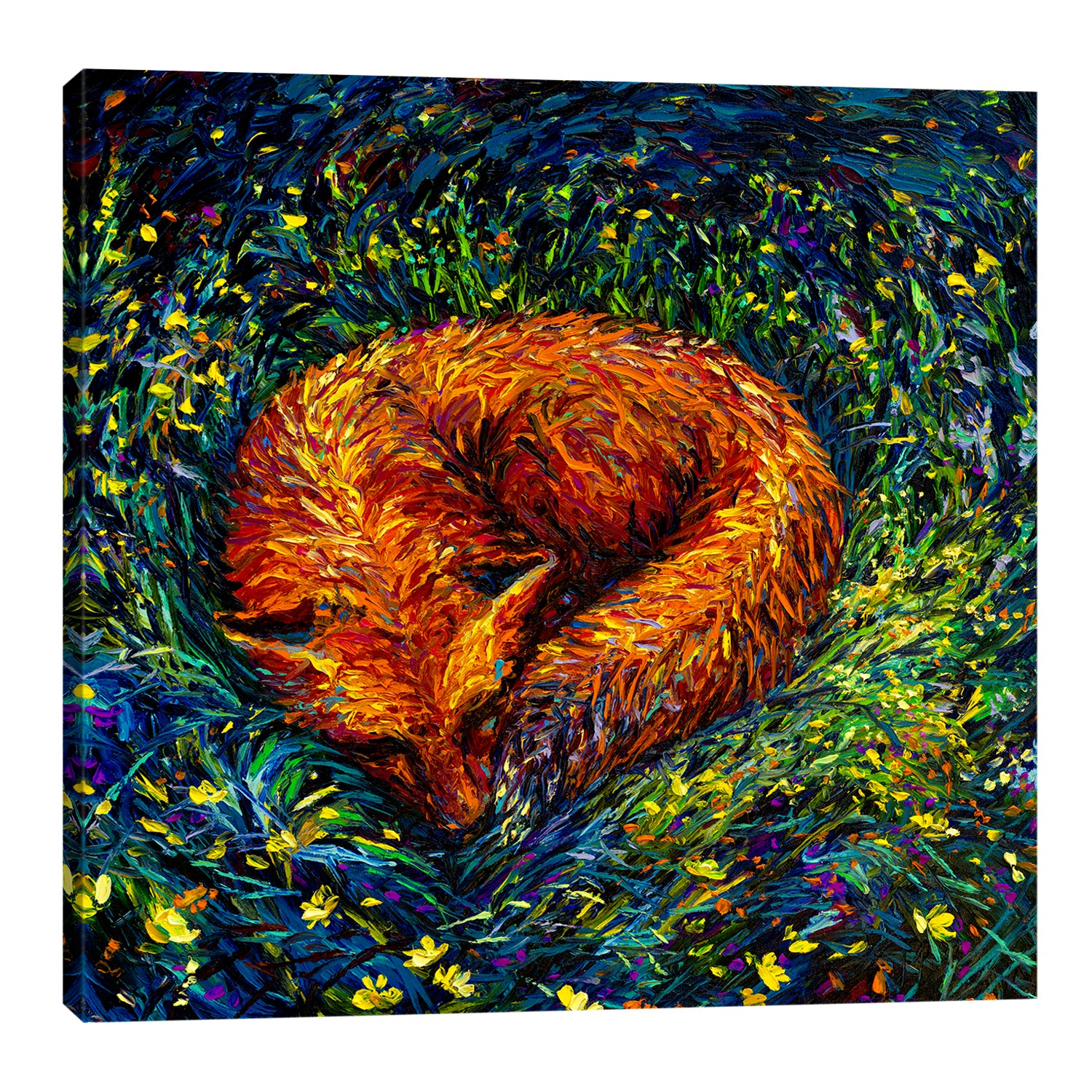 Iris-Scott,Modern & Contemporary,Animals,foxes,fox,animals,animal,sleeping,napping,grass,leaves,