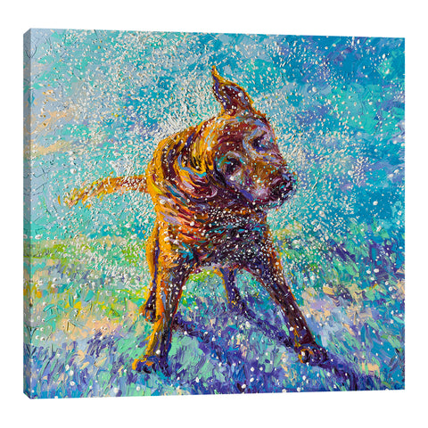 Iris-Scott,Modern & Contemporary,Animals,animals,animal,dogs,dog,wagging,shaking,water drops,teal,splatter,