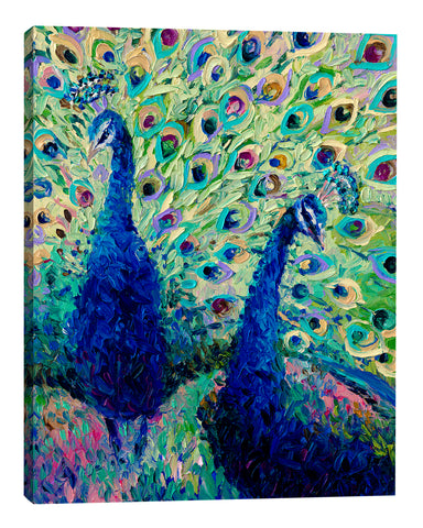 Iris-Scott,Modern & Contemporary,Animals,animals,animal,peacocks,peacock,teal,feathers,