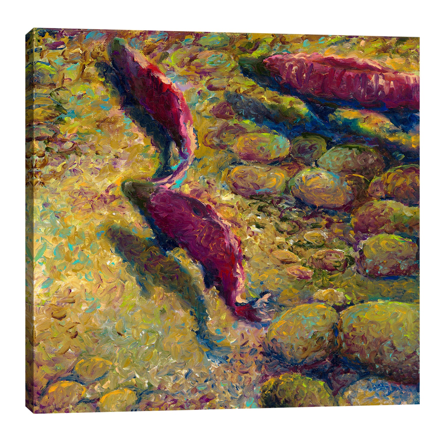 Iris-Scott,Modern & Contemporary,Animals,fish,animals,ponds,rocks,salmon,