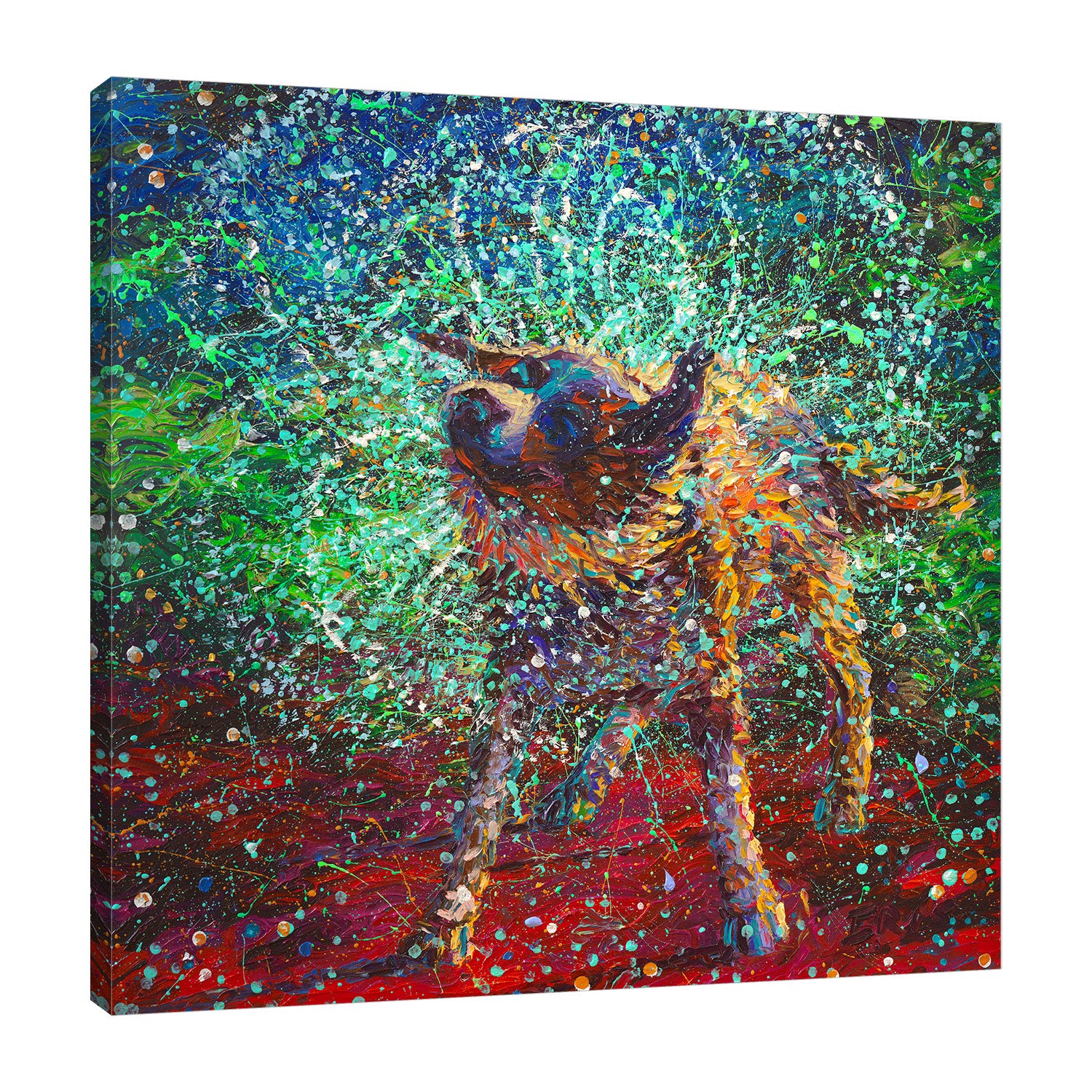 Iris-Scott,Modern & Contemporary,Animals,dogs,animals,collies,shake,splatters,