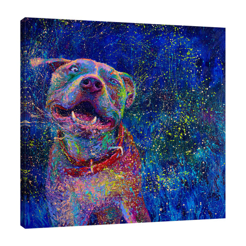 Iris-Scott,Modern & Contemporary,Animals,shaking dog,impressionism,animal,finger paint,splatters,animals,